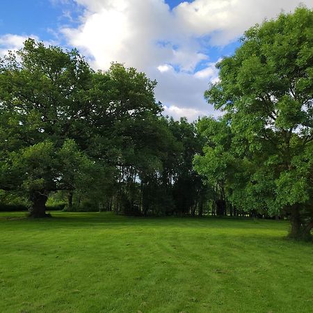 Gite De La Janiere Sainte-Luce-sur-Loire Esterno foto