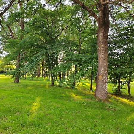 Gite De La Janiere Sainte-Luce-sur-Loire Esterno foto
