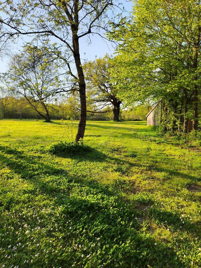 Gite De La Janiere Sainte-Luce-sur-Loire Esterno foto