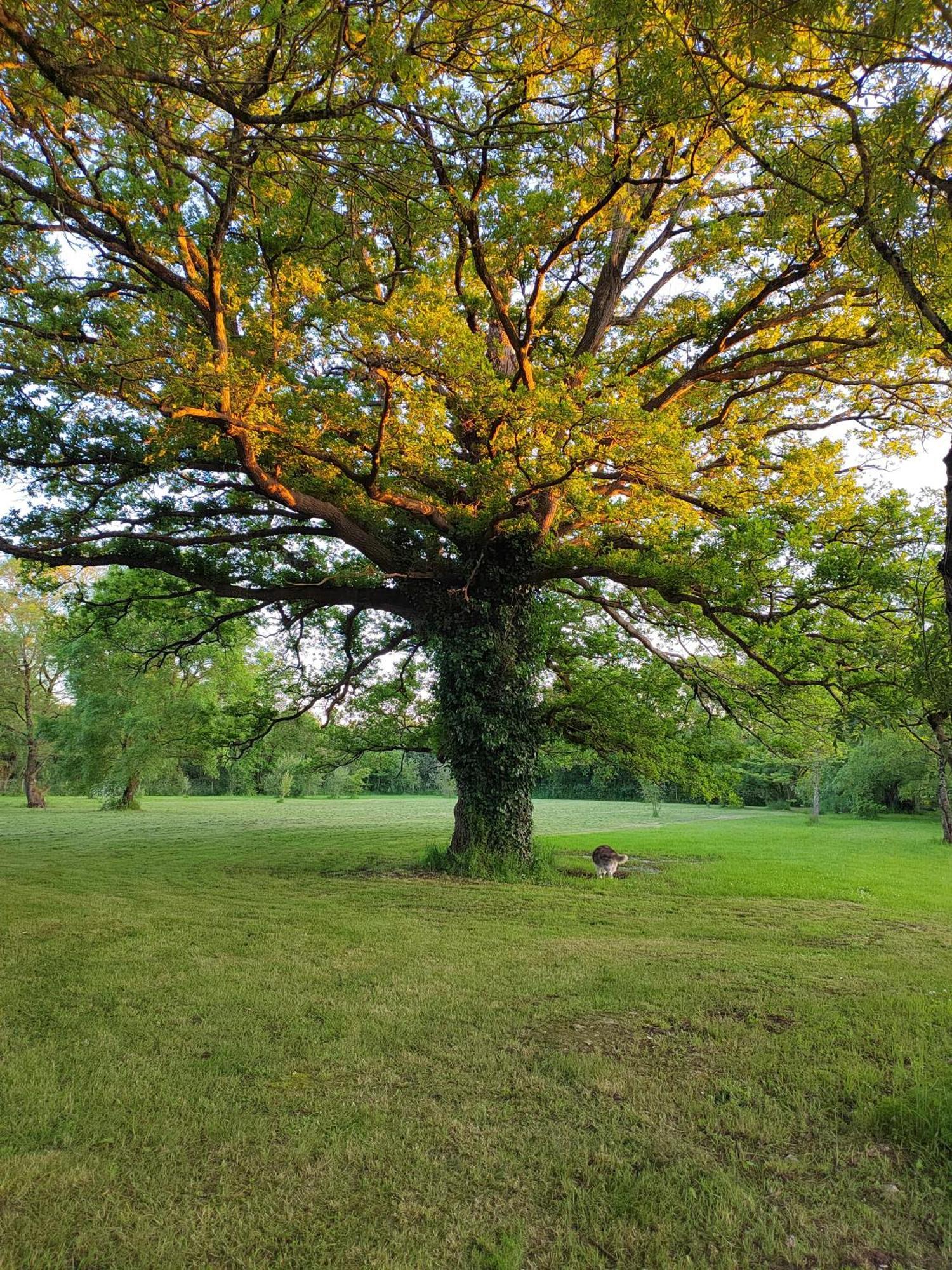 Gite De La Janiere Sainte-Luce-sur-Loire Esterno foto