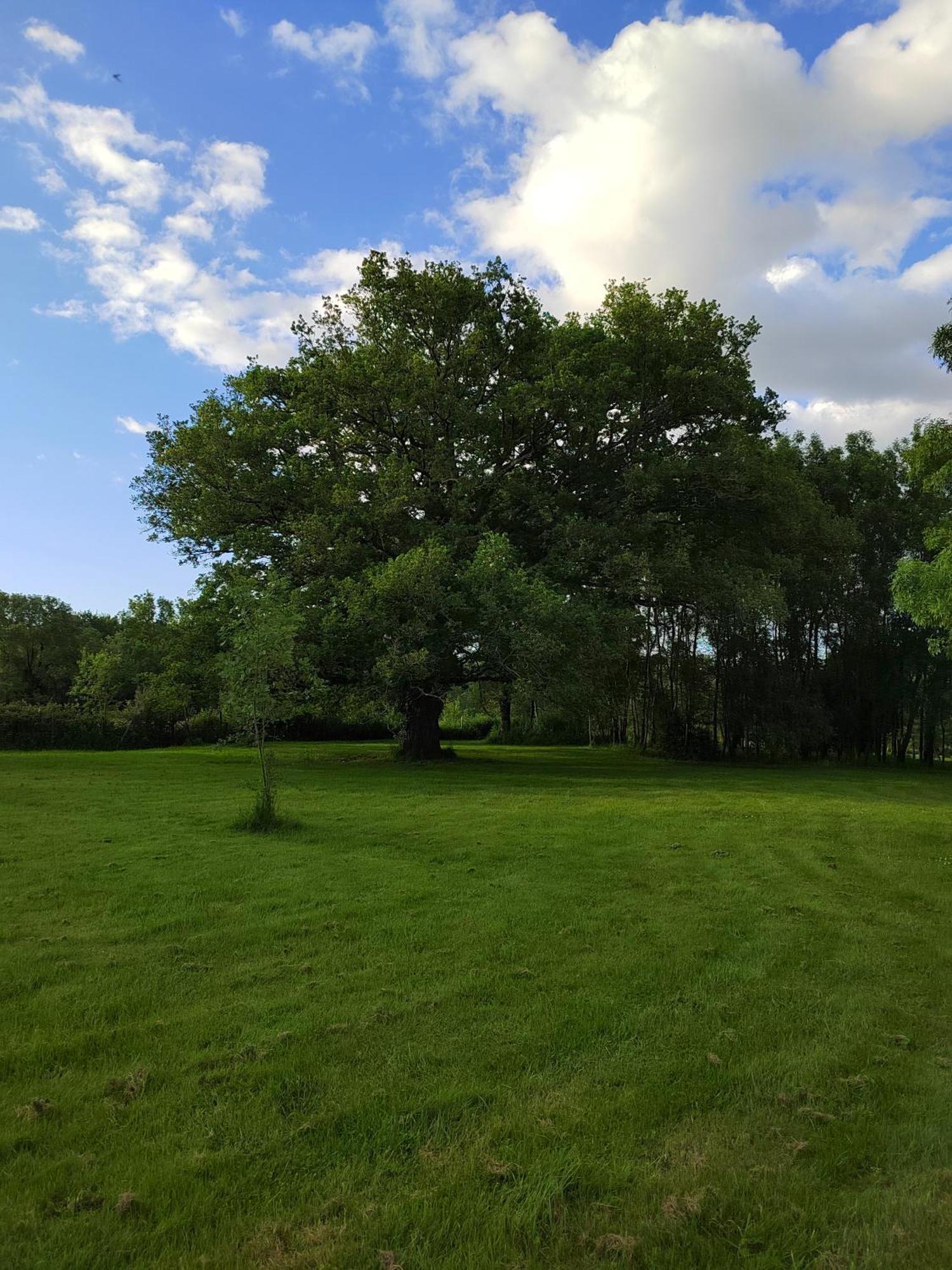 Gite De La Janiere Sainte-Luce-sur-Loire Esterno foto