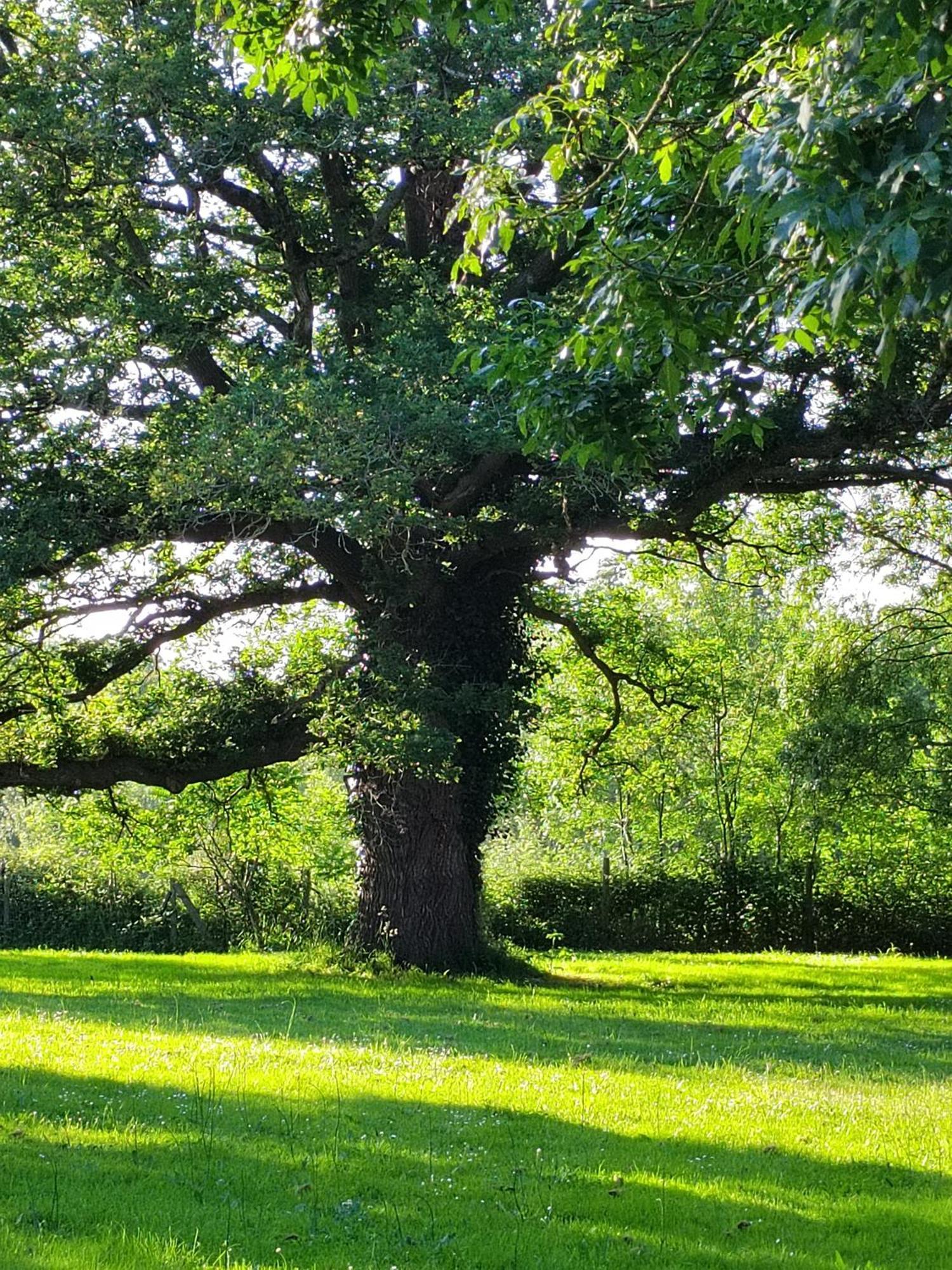 Gite De La Janiere Sainte-Luce-sur-Loire Esterno foto